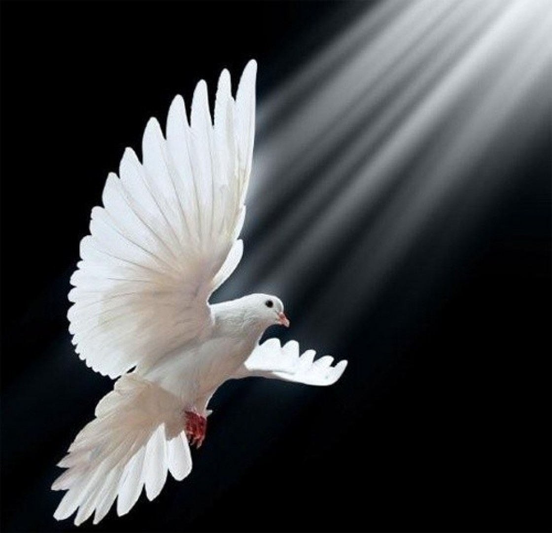 Ogłoszenia Duszpasterskie – Uroczystość Zesłania Ducha Świętego  31.05.2020 r.